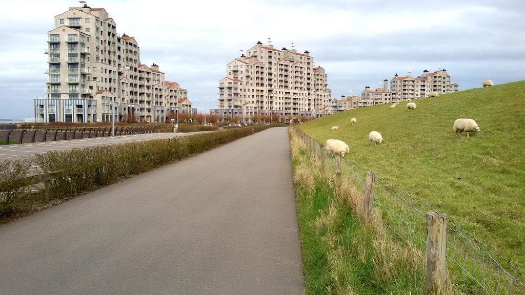 Port Scaldis Apartment Breskens Esterno foto